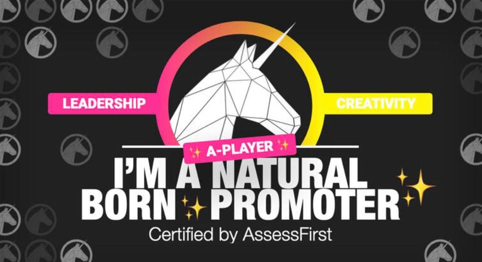 Assessfirst promoteur profil , lead and creativity
